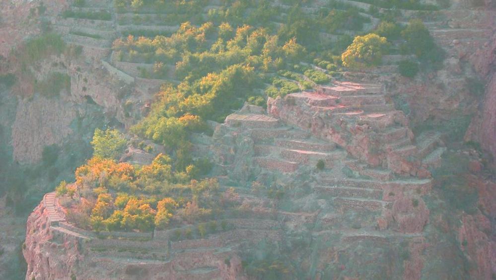 Al 'Aqar Green Mountain Hotel Apartments מראה חיצוני תמונה